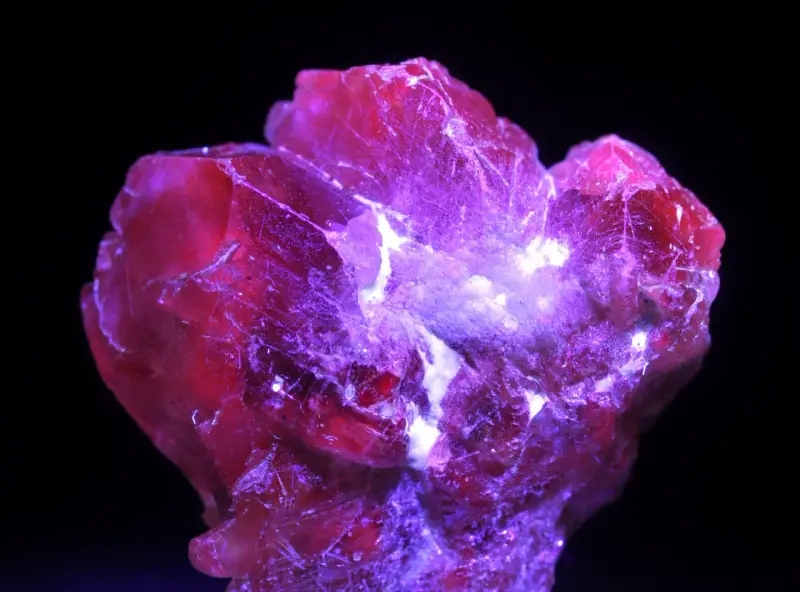 Cristallo rosso intenso, illuminato da luce viola, che fa pensare a qual è la pietra più preziosa al mondo.